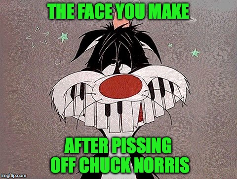 Sylvester | THE FACE YOU MAKE; AFTER PISSING OFF CHUCK NORRIS | image tagged in dumb move | made w/ Imgflip meme maker
