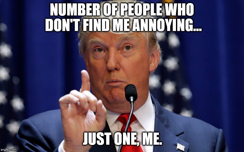 Donald Trump | NUMBER OF PEOPLE WHO DON'T FIND ME ANNOYING... JUST ONE, ME. | image tagged in donald trump | made w/ Imgflip meme maker