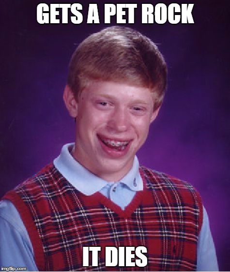 Bad Luck Brian | GETS A PET ROCK; IT DIES | image tagged in memes,bad luck brian | made w/ Imgflip meme maker