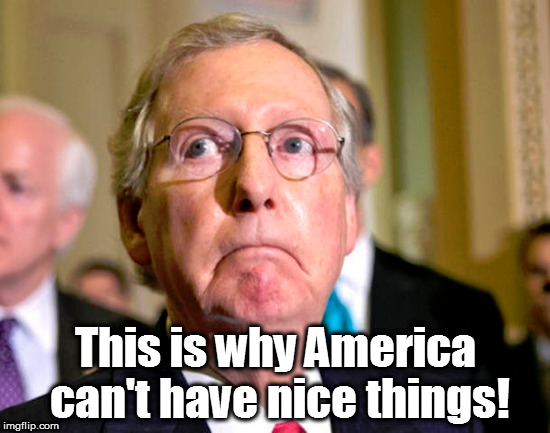 This is why America can't have nice things! | image tagged in mitch mcconnell,dissapointment | made w/ Imgflip meme maker