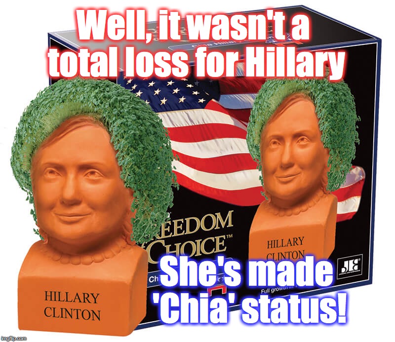 You know you've 'made it', when you get a Chia named after you! | Well, it wasn't a total loss for Hillary; She's made 'Chia' status! | image tagged in hillary clinton | made w/ Imgflip meme maker