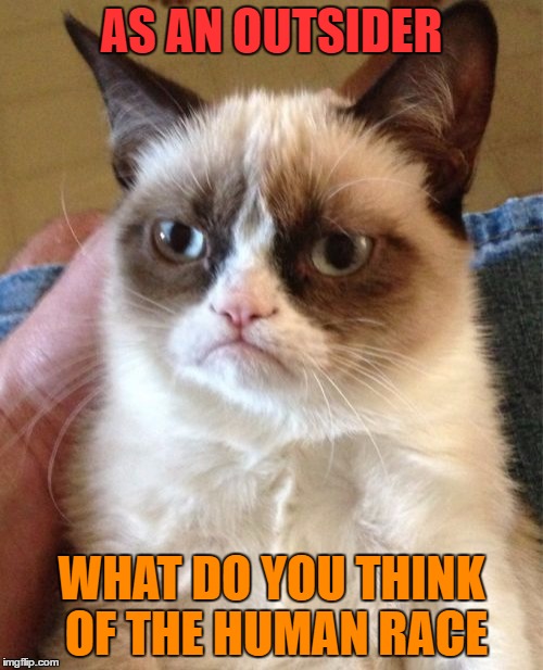 Grumpy Cat | AS AN OUTSIDER; WHAT DO YOU THINK OF THE HUMAN RACE | image tagged in memes,grumpy cat,funny,outsider,human race | made w/ Imgflip meme maker