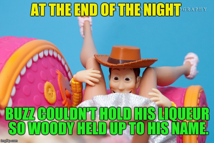 AT THE END OF THE NIGHT BUZZ COULDN'T HOLD HIS LIQUEUR SO WOODY HELD UP TO HIS NAME. | made w/ Imgflip meme maker