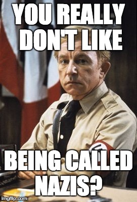 Illinois Nazi | YOU REALLY 
DON'T LIKE; BEING CALLED NAZIS? | image tagged in illinois nazi | made w/ Imgflip meme maker