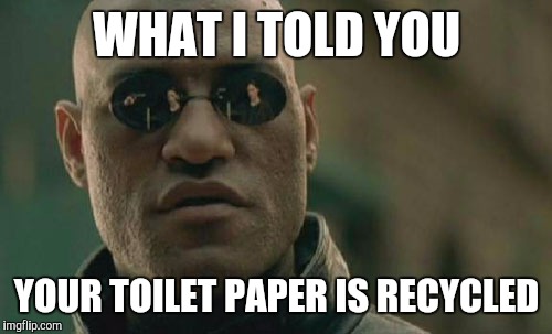 Matrix Morpheus | WHAT I TOLD YOU; YOUR TOILET PAPER IS RECYCLED | image tagged in memes,matrix morpheus | made w/ Imgflip meme maker