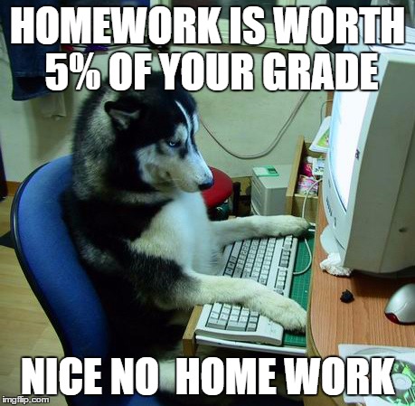 I Have No Idea What I Am Doing | HOMEWORK IS WORTH 5% OF YOUR GRADE; NICE NO  HOME WORK | image tagged in memes,i have no idea what i am doing | made w/ Imgflip meme maker