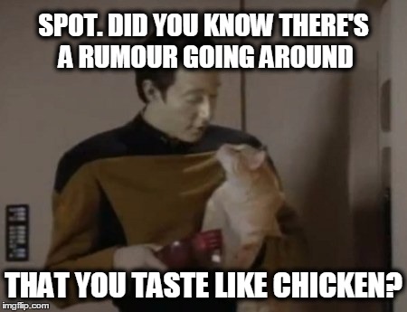 It's what I heard anyways... | SPOT. DID YOU KNOW THERE'S A RUMOUR GOING AROUND; THAT YOU TASTE LIKE CHICKEN? | image tagged in star trek tng,star trek data | made w/ Imgflip meme maker