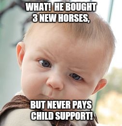Skeptical Baby | WHAT!  HE BOUGHT 3 NEW HORSES, BUT NEVER PAYS CHILD SUPPORT! | image tagged in memes,skeptical baby | made w/ Imgflip meme maker