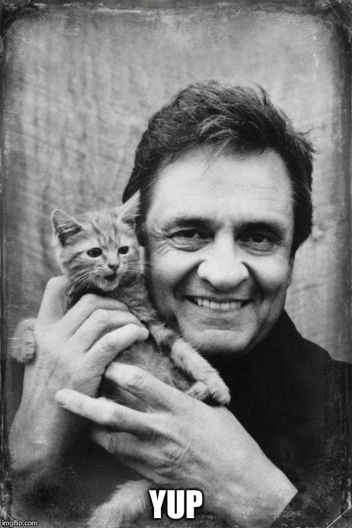 Johnny Cash Cat | YUP | image tagged in johnny cash cat | made w/ Imgflip meme maker