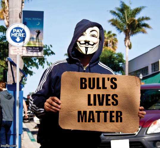 The N.Y.P.D. is in trouble again ! | BULL'S; LIVES; MATTER | image tagged in protester,funny | made w/ Imgflip meme maker