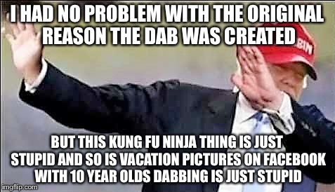 I HAD NO PROBLEM WITH THE ORIGINAL REASON THE DAB WAS CREATED BUT THIS KUNG FU NINJA THING IS JUST STUPID AND SO IS VACATION PICTURES ON FAC | image tagged in donald trump dab | made w/ Imgflip meme maker