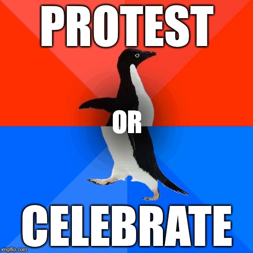 Socially Awesome Awkward Penguin Meme | PROTEST CELEBRATE OR | image tagged in memes,socially awesome awkward penguin | made w/ Imgflip meme maker