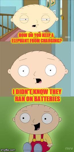 No so smart after all - Cartoon Week a JuicyDeath1025 event | HOW DO YOU KEEP A ELEPHANT FROM CHARGING? I DIDN'T KNOW THEY RAN ON BATTERIES | image tagged in memes,bad joke stewie griffin,cartoon week | made w/ Imgflip meme maker
