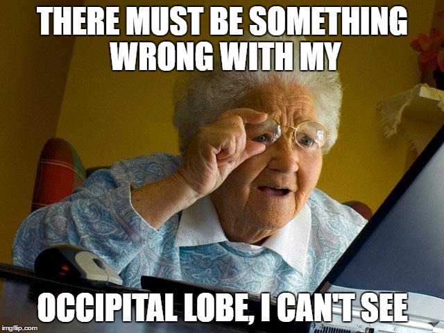 Grandma Finds The Internet Meme | THERE MUST BE SOMETHING WRONG WITH MY; OCCIPITAL LOBE, I CAN'T SEE | image tagged in memes,grandma finds the internet | made w/ Imgflip meme maker