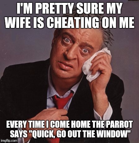 I'M PRETTY SURE MY WIFE IS CHEATING ON ME EVERY TIME I COME HOME THE PARROT SAYS "QUICK, GO OUT THE WINDOW" | made w/ Imgflip meme maker