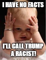 frustrated baby7 | I HAVE NO FACTS; I'LL CALL TRUMP A RACIST! | image tagged in frustrated baby7 | made w/ Imgflip meme maker