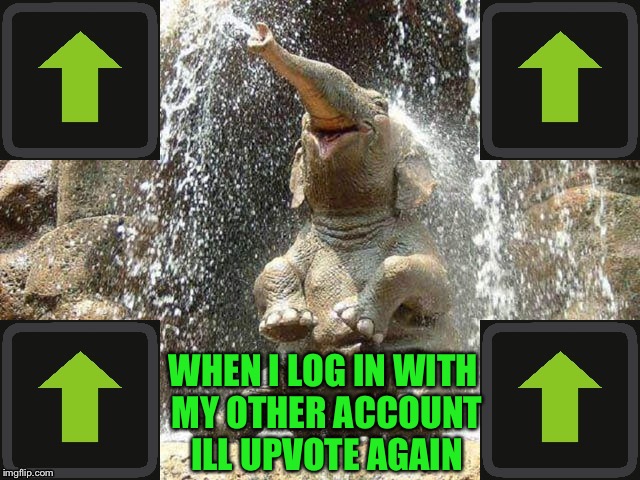 Upvote Elephant | WHEN I LOG IN WITH MY OTHER ACCOUNT ILL UPVOTE AGAIN | image tagged in upvote elephant | made w/ Imgflip meme maker