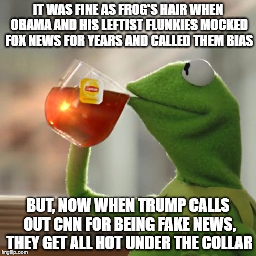 But That's None Of My Business Meme | IT WAS FINE AS FROG'S HAIR WHEN OBAMA AND HIS LEFTIST FLUNKIES MOCKED FOX NEWS FOR YEARS AND CALLED THEM BIAS; BUT, NOW WHEN TRUMP CALLS OUT CNN FOR BEING FAKE NEWS, THEY GET ALL HOT UNDER THE COLLAR | image tagged in memes,but thats none of my business,kermit the frog | made w/ Imgflip meme maker
