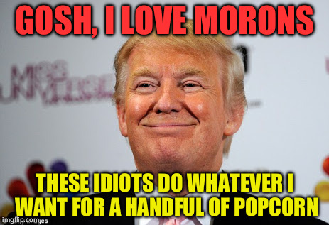 Donald trump approves | GOSH, I LOVE MORONS; THESE IDIOTS DO WHATEVER I WANT FOR A HANDFUL OF POPCORN | image tagged in donald trump approves | made w/ Imgflip meme maker