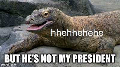 BUT HE'S NOT MY PRESIDENT | made w/ Imgflip meme maker