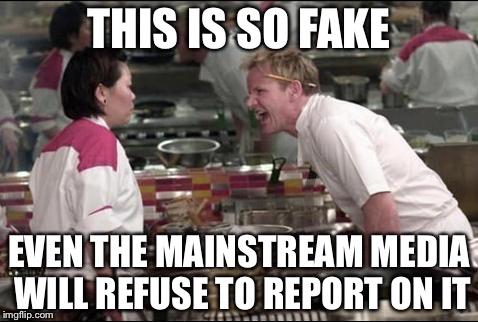 Angry Chef Gordon Ramsay | THIS IS SO FAKE; EVEN THE MAINSTREAM MEDIA WILL REFUSE TO REPORT ON IT | image tagged in memes,angry chef gordon ramsay | made w/ Imgflip meme maker