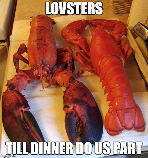 LOVSTERS; TILL DINNER DO US PART | image tagged in lovsters | made w/ Imgflip meme maker