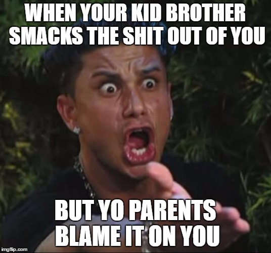 DJ Pauly D Meme | WHEN YOUR KID BROTHER SMACKS THE SHIT OUT OF YOU; BUT YO PARENTS BLAME IT ON YOU | image tagged in memes,dj pauly d | made w/ Imgflip meme maker