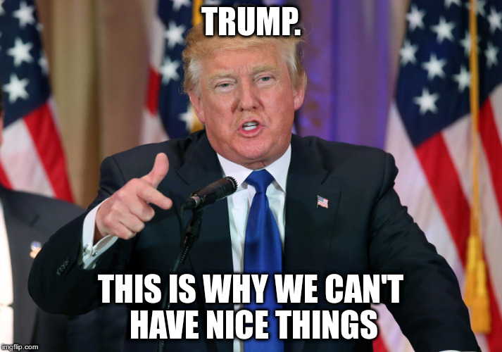 Can't have anything nice | TRUMP. THIS IS WHY WE CAN'T HAVE NICE THINGS | image tagged in donald trump,maga | made w/ Imgflip meme maker