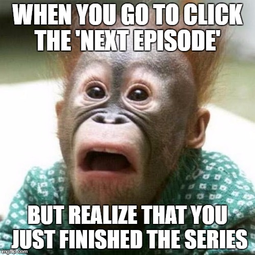 (NOOOOOOOO) | WHEN YOU GO TO CLICK THE 'NEXT EPISODE'; BUT REALIZE THAT YOU JUST FINISHED THE SERIES | image tagged in memes,funny,trump,lmao,lol,sad | made w/ Imgflip meme maker