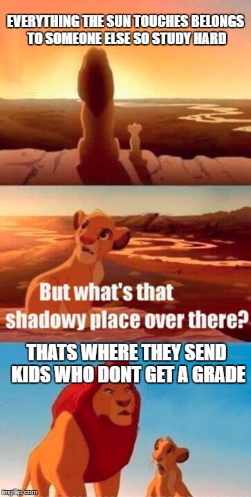 Simba Shadowy Place Meme | EVERYTHING THE SUN TOUCHES BELONGS TO SOMEONE ELSE SO STUDY HARD; THATS WHERE THEY SEND KIDS WHO DONT GET A GRADE | image tagged in memes,simba shadowy place | made w/ Imgflip meme maker