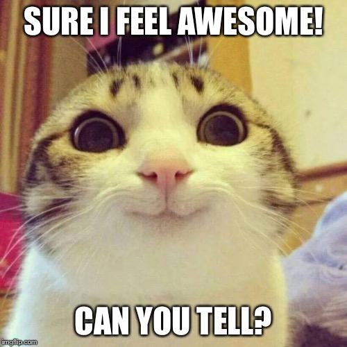 Smiling Cat Meme | SURE I FEEL AWESOME! CAN YOU TELL? | image tagged in memes,smiling cat | made w/ Imgflip meme maker