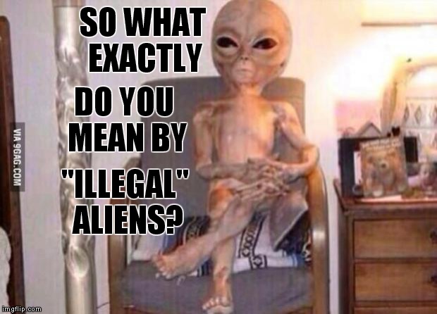 This is why the aliens never visit us. | SO WHAT EXACTLY; DO YOU MEAN BY; "ILLEGAL" ALIENS? | image tagged in alien,meme,funny | made w/ Imgflip meme maker