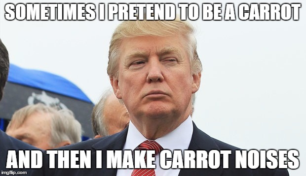 Go top! | SOMETIMES I PRETEND TO BE A CARROT; AND THEN I MAKE CARROT NOISES | image tagged in trump,carrot,funny,noise | made w/ Imgflip meme maker
