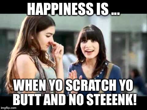 Baby wipes ain't just fo babies! | HAPPINESS IS ... WHEN YO SCRATCH YO BUTT AND NO STEEENK! | image tagged in stinky | made w/ Imgflip meme maker
