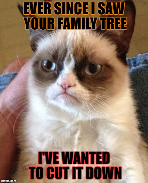 Grumpy Cat being evil | EVER SINCE I SAW YOUR FAMILY TREE; I'VE WANTED TO CUT IT DOWN | image tagged in memes,grumpy cat,funny,rude,cat | made w/ Imgflip meme maker