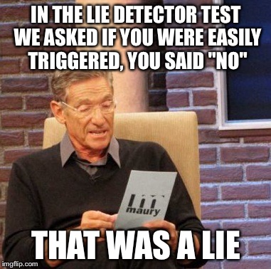 Maury Lie Detector Meme | IN THE LIE DETECTOR TEST WE ASKED IF YOU WERE EASILY TRIGGERED, YOU SAID "NO"; THAT WAS A LIE | image tagged in memes,maury lie detector | made w/ Imgflip meme maker