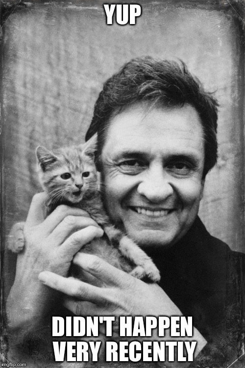 Johnny Cash Cat | YUP DIDN'T HAPPEN VERY RECENTLY | image tagged in johnny cash cat | made w/ Imgflip meme maker