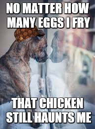 dog looking out window | NO MATTER HOW MANY EGGS I FRY; THAT CHICKEN STILL HAUNTS ME | image tagged in dog looking out window,scumbag | made w/ Imgflip meme maker