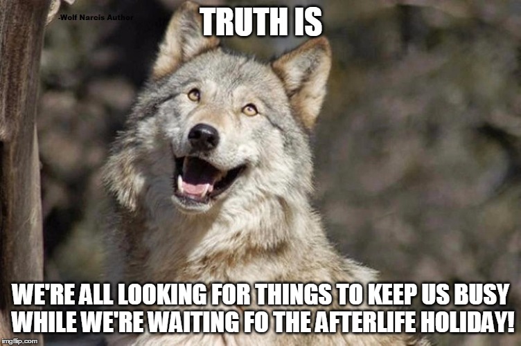 Optimistic Moon Moon Wolf Vanadium Wolf | TRUTH IS; WE'RE ALL LOOKING FOR THINGS TO KEEP US BUSY WHILE WE'RE WAITING FO THE AFTERLIFE HOLIDAY! | image tagged in optimistic moon moon wolf vanadium wolf | made w/ Imgflip meme maker