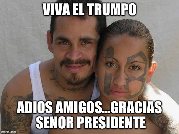 Latino Gangster Couple | VIVA EL TRUMPO; ADIOS AMIGOS...GRACIAS SENOR PRESIDENTE | image tagged in latino gangster couple | made w/ Imgflip meme maker