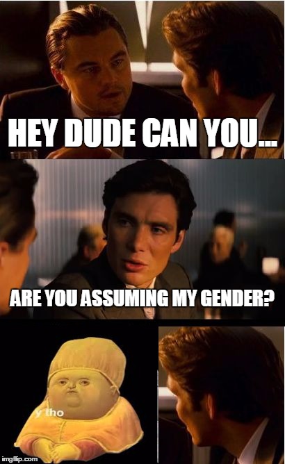 Inception Meme | HEY DUDE CAN YOU... ARE YOU ASSUMING MY GENDER? | image tagged in memes,inception | made w/ Imgflip meme maker