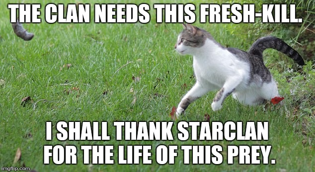 Warrior cat meme | THE CLAN NEEDS THIS FRESH-KILL. I SHALL THANK STARCLAN FOR THE LIFE OF THIS PREY. | image tagged in warrior cat meme | made w/ Imgflip meme maker