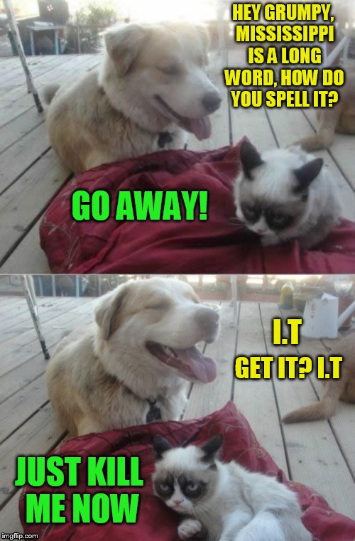 Grumpy Cat Vs Happy Dog | HEY GRUMPY, MISSISSIPPI IS A LONG WORD, HOW DO YOU SPELL IT? GO AWAY! I.T; GET IT? I.T; JUST KILL ME NOW | image tagged in grumpy cat and his dog,grumpy cat,jokes,funny dogs,memes,funny memes | made w/ Imgflip meme maker