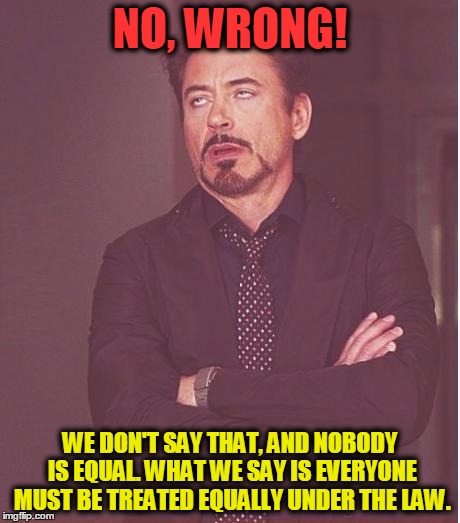 Face You Make Robert Downey Jr Meme | NO, WRONG! WE DON'T SAY THAT, AND NOBODY IS EQUAL. WHAT WE SAY IS EVERYONE MUST BE TREATED EQUALLY UNDER THE LAW. | image tagged in memes,face you make robert downey jr | made w/ Imgflip meme maker