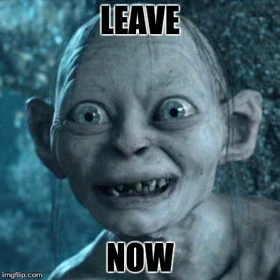 Gollum Meme | LEAVE; NOW | image tagged in memes,gollum | made w/ Imgflip meme maker