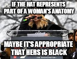 IF THE HAT REPRESENTS PART OF A WOMAN'S ANATOMY; MAYBE IT'S APPROPRIATE THAT HERS IS BLACK | image tagged in woman's march washington madonna blow up white house president donald trump | made w/ Imgflip meme maker