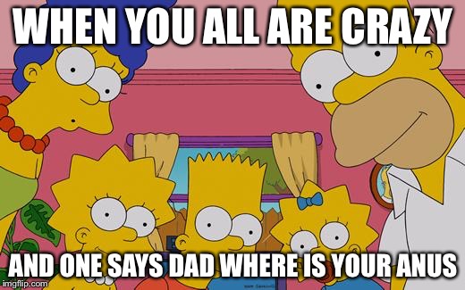 The Simpsons Lego | WHEN YOU ALL ARE CRAZY; AND ONE SAYS DAD WHERE IS YOUR ANUS | image tagged in the simpsons lego | made w/ Imgflip meme maker