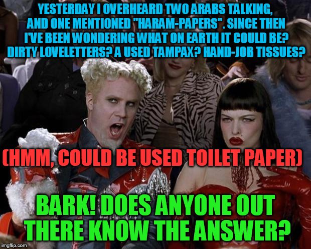 What is "haram-paper" ? | YESTERDAY I OVERHEARD TWO ARABS TALKING, AND ONE MENTIONED "HARAM-PAPERS". SINCE THEN I'VE BEEN WONDERING WHAT ON EARTH IT COULD BE? DIRTY LOVELETTERS? A USED TAMPAX? HAND-JOB TISSUES? (HMM, COULD BE USED TOILET PAPER); BARK! DOES ANYONE OUT THERE KNOW THE ANSWER? | image tagged in slippy,slappy,fluffyknob the iii | made w/ Imgflip meme maker