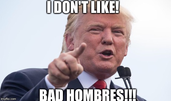 Donald Trump and Bad Hombres | I DON'T LIKE! BAD HOMBRES!!! | image tagged in donald trump,bad hombres | made w/ Imgflip meme maker