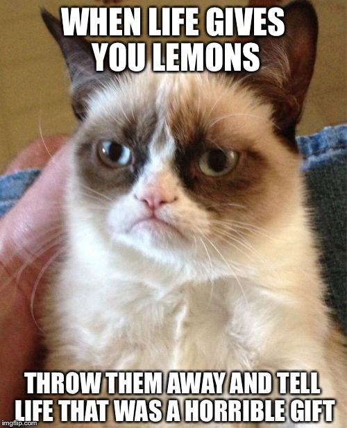 Grumpy Cat Meme | WHEN LIFE GIVES YOU LEMONS; THROW THEM AWAY AND TELL LIFE THAT WAS A HORRIBLE GIFT | image tagged in memes,grumpy cat | made w/ Imgflip meme maker